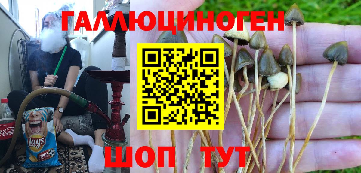 Галлюциногенные грибы ЛСД  купить наркотики сайты  Вход с VPN  Камышин  Псилоцибиновые грибы ЛСД 