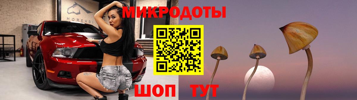 Галлюциногенные грибы Cubensis Камышин